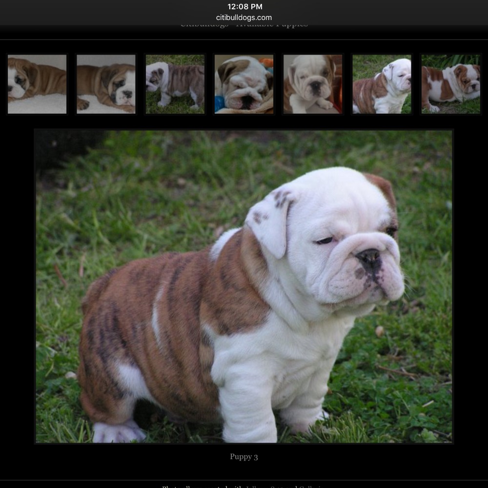 Meet your Posher, Debbie